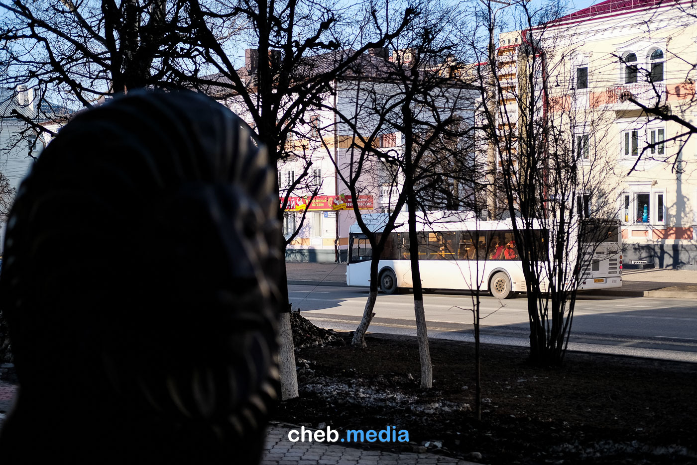 Транспортная реформа: суд, вялая реакция главы и просроченные ответы из мэрии